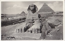 Cairo - The Excavated Sphinx - Sphinx