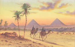 Gizeh - The Pyramids - Camel - Guiza