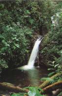 Lote PEP855, Costa Rica, Postal, Postcard, Reserva Del Bosque Nuboso Monteverde, Forest Reserve, Waterfall - Costa Rica