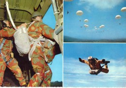 PARACADUTISMO-MILITARI - Parachutting