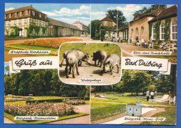 Deutschland; Bad Driburg; Multibildkarte - Bad Driburg
