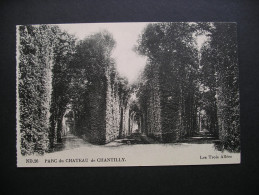 Parc Du Chateau De Chantilly.Les Trois Allees - Picardie