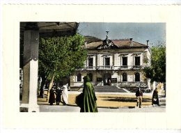 TIZI OUZOU  L HOTEL DE VILLE  -  CPM 1940 / 50 - Tizi Ouzou