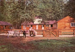 PARC DE SAINT VRAIN -91- FERME DES ANIMAUX FAMILIERS - Saint Vrain