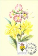 LUXEMBOURG  CARTE  MAXIMUM  NUM-YVERT  1141  FLORE  FLEUR  ART FLORAL - Cartoline Maximum