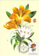 LUXEMBOURG  CARTE  MAXIMUM  NUM-YVERT  1140  FLORE  FLEUR  ART FLORAL - Cartoline Maximum