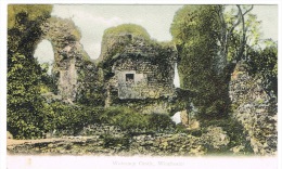 RB 1057 - Early F.G.O. Fgo Stuart Postcard - Wolvesey Castle - Winchester Hampshire - Winchester