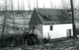 KWAREMONT - Kluisbergen (O.Vl.) - Molen/moulin - Sfeervol Winterbeeld: Biesputmolen In 1987 Met Restant Van Bovenslagrad - Kluisbergen