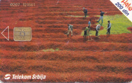 SERBIA  Phonecard With Chip / Farmland / Field - Other - Europe