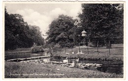 Enschede - Vijver Met Duiventil In Het Volkspark  - 1936 -  Overijssel / Nederland - Enschede