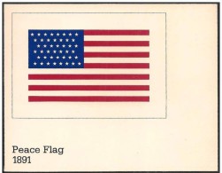Stati Uniti/United States/États-Unis: Intero, Stationery, Entier, Bandiera Del 1891, Flag Of 1891, Drapeau De 1891, 2 Sc - Covers