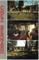 Carte Postale 83. Montauroux  Restaurant Pizzeria Chez Bernard  Trés  Beau Plan - Montauroux