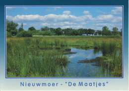 Nieuwmoer Kalmthout De Maatjes - Kalmthout