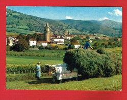 Pyrénées Atlantiques - AINHOA - Village Type Du Pays Basque ...( Attelage ... Récolte ... Agriculture ...) - Ainhoa