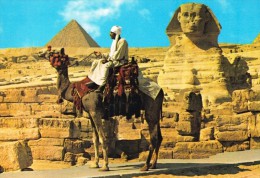 Egypt - Giza Gizeh - The Sphinks And Mykerinos Pyramid  Camel - Guiza