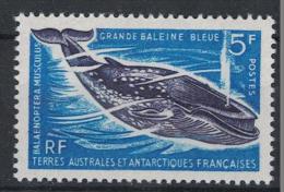 French Southern & Antarctic Territory. 1966. Blue Whale. MNH Stamp. SCV = 20.00 - Baleines