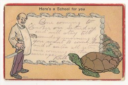 T932 - Here's A School For You - Tortugas