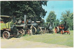 STEAM ENGINES  At Bressingham Gardens  - 1963 -  Norfolk, England - Trattori