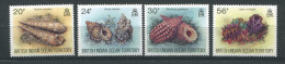 Ocean Indien **  N° 173 à 176 - Coquillages - - Seychelles (1976-...)
