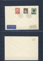 Weidenau Brief Mit Befreiungsstempel 22. IX. 1938 (341017) - Sudetenland