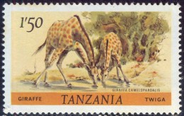 TANSANIA - TANZANIA - GIRAFFES - Perf. K 14 : 14¼  - R  - **MNH - 1985 - Giraffes