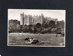 55687    Regno  Unito,   Arundel  Castle,  NV - Arundel