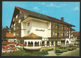 BAD KROZINGEN Breisgau Appartement Hotel AMSELHOF Restaurant AMSELNEST - Bad Krozingen