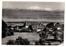 ARZIER  Le Leman Et Le Mont Blanc Carte En Bon état - Arzier-Le Muids