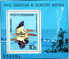 BIRDS-PELICANS-THE EUROPEAN YEAR-NATURE PROTECTION-ROMANIA-MS-MNH-670 - Pélicans