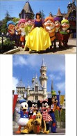 WALD DISNEY  DISNEYLAND   -  2 CPM ANNEE 1980 - Disneyland