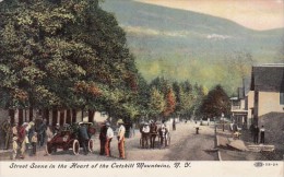 Street Scene In The Heart Of The Catskill Mountains New York - Catskills