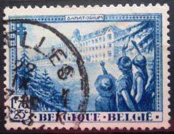 BELGIQUE           N° 361          OBLITERE - Used Stamps