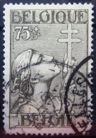 BELGIQUE           N° 380          OBLITERE - Used Stamps
