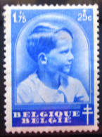 BELGIQUE           N° 444         NEUF* - Unused Stamps