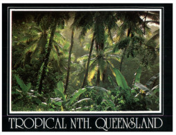 (553) Australia - QLD - Tropical Forest - Far North Queensland