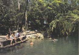 Berry Springs National Park And Campig Ground,near Darwin, Northern Territory  - Nucolorvue NCV 2880 Unused - Zonder Classificatie