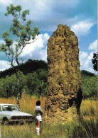 Giant Termite Or Ant Hills, Darwin, Northern Territory  - Nucolorvue NCV 2453 Unused - Darwin