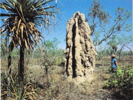 Giant Cathedral Ant Hill, Top End, Northern Territory  - Big Country Picture TBCPC 15 Unused - Non Classés