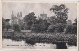 ENGLAND- CAMBRIDGESHIRE--PETERBOROUGH Cathedral From River Nene - Vintage Postcard - Autres & Non Classés