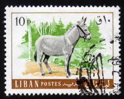 LIBANON 1968 - Esel, Donkey - Burros Y Asnos