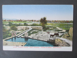 Old Postcard Jericho. Fontaine D`Elisée - Elisa's Fountain. Elisa Brunnen. Ungelaufen! - Israel