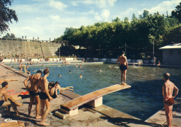 Montredon-Labessonnié (Tarn)  La Piscine    Cpsm Format 10-15 - Montredon Labessonie