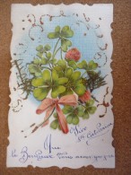Découpages De Fleurs Collés - Sainte-Catherine