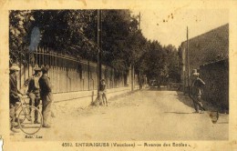 ENTRAIGUES SUR SORGUE - VAUCLUSE   (84) -  PEU COURANTE CPA ANIMEE. - Entraigue Sur Sorgue