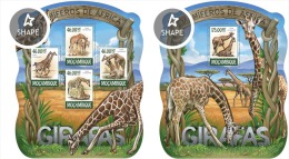 Mozambico 2015, Giraffes, 4val In BF +BF - Giraffes