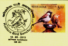 BIRDS-PELICANS-KOLLERU BIRD SANCTUARY-SPECIAL COVER-PICTORIAL CANCELLATION-INDIA-2015-IC-263-4 - Pélicans