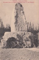 Cp , 55 , VERDUN , Le Bois Des Caures , Monument élevé à La Mémoire Du Colonel Driant Et à Ses Chasseurs - Verdun