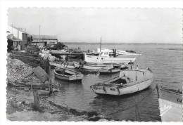 CHAILLEVETTE (17) Bord De La Seudre Barques - Altri & Non Classificati
