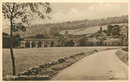 SIMPLEY STOKE. THE VIADUCT. PAESAGGIO E PONTE. CARTOLINA ANNI '40 - '50 - Autres & Non Classés