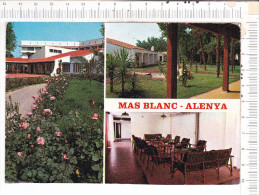 ELNE   -   MAS   BLANC    -   ALENYA   -   Village De  Vacances  De La  Mutuelle  Générale Des  Préfectures -   Hôtel - Elne